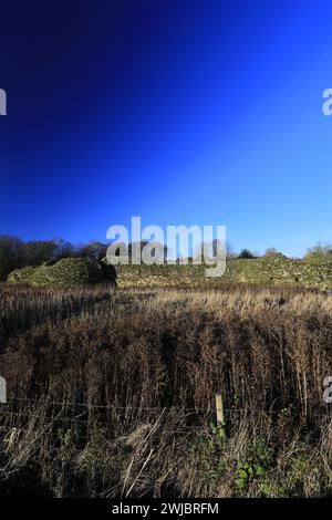 Herbstblick über Bolingbroke Castle, eine ruinöse sechseckige Burg im Dorf Bolingbroke, Lincolnshire, England, Großbritannien Stockfoto