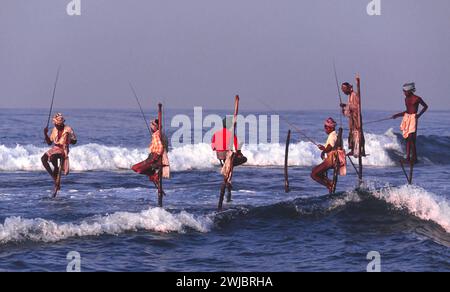 Stelzenfischer beginnen im Frühsommer in Sri Lanka Stockfoto