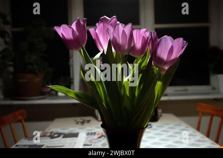 Ein Bouquet violetter Tulpe zu Hause Stockfoto