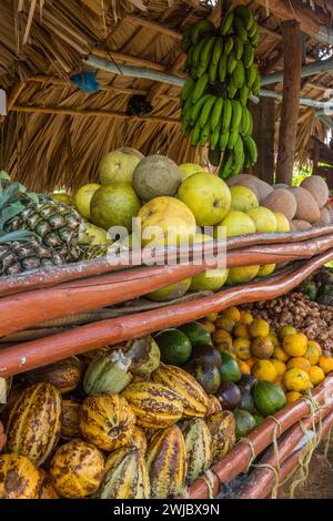 Obst und Gemüse zum Verkauf an einem Stand auf der Straße in Samana, Dominikanische Republik, einschließlich Kakaobohnen unten links. Stockfoto