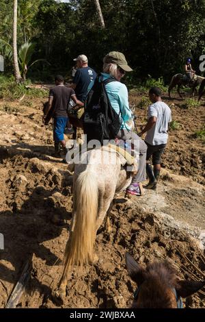 Touristen auf Pferden auf einem Wanderweg im Regenwald auf der Samana-Halbinsel, Dominikanische Republik. Stockfoto