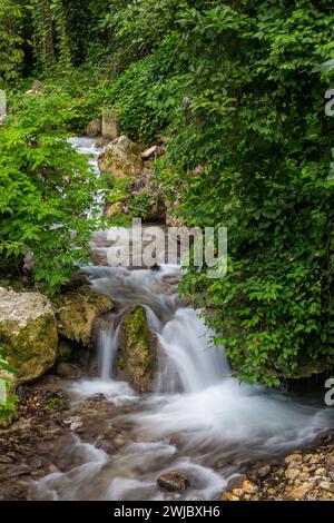 Ein kleiner Bach im Regenwald in der Provinz Barahona der Dominikanischen Republik. Eine langsame Verschlusszeit verleiht dem Wasser ein seidiges Aussehen. Stockfoto