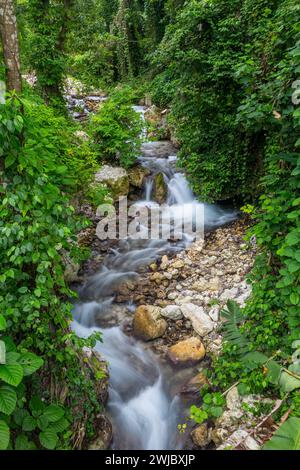 Ein kleiner Bach im Regenwald in der Provinz Barahona der Dominikanischen Republik. Eine langsame Verschlusszeit verleiht dem Wasser ein seidiges Aussehen. Stockfoto