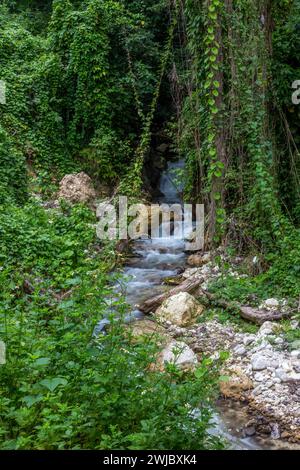 Ein kleiner Bach im Regenwald in der Provinz Barahona der Dominikanischen Republik. Eine langsame Verschlusszeit verleiht dem Wasser ein seidiges Aussehen. Stockfoto