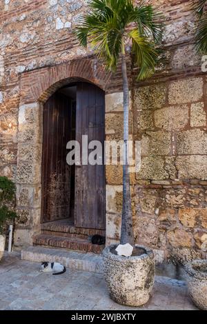 Zwei Katzen ruhen vor einem alten Steinhaus aus der Kolonialzeit in Santo Domingo, Dominikanische Republik. Ein UNESCO-Weltkulturerbe Stockfoto