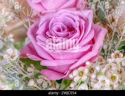 Nahaufnahme einer rosa Rosenblüte in einem Blumenstrauß Stockfoto