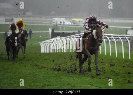 Fontwell, Großbritannien. Am 14. Februar 2024 gewann How and Ever, Ridden by Gavin Sheehan den 4,20er im Fontwell Park. Stockfoto