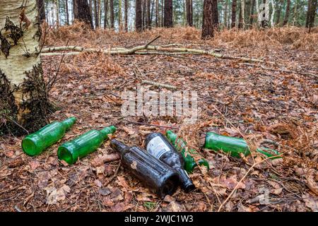 Leere Wein- und Cidre-Flaschen wurden im Wald in Wolferton, Norfolk, abgeladen. Stockfoto