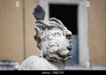 Nahaufnahme einer Figur aus dem Fontana del Moro auf der Piazza Navona in Rom, die humorvoll mit einer Taube auf dem Kopf geschmückt ist Stockfoto