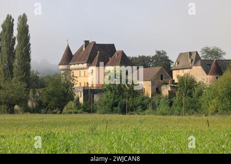 Das Renaissanceschloss Losse am Ufer des Flusses Vézère in Périgord Noir bei Montignac-Lascaux. Geschichte, Architektur, Erbe, Gärten, na Stockfoto