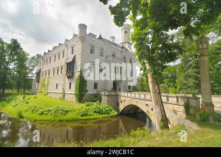 Schloss Karpniki (deutsch: Vischbach, Fischbach) - eine historische Burg im Dorf Karpniki, Polen Stockfoto