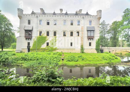 Schloss Karpniki (deutsch: Vischbach, Fischbach) - eine historische Burg im Dorf Karpniki, Polen Stockfoto