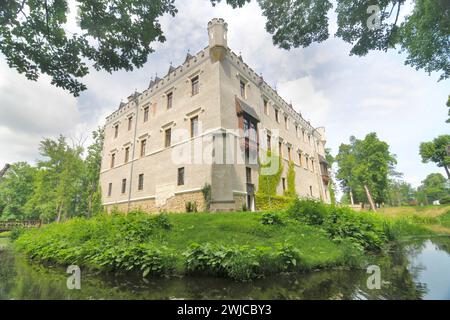 Schloss Karpniki (deutsch: Vischbach, Fischbach) - eine historische Burg im Dorf Karpniki, Polen Stockfoto