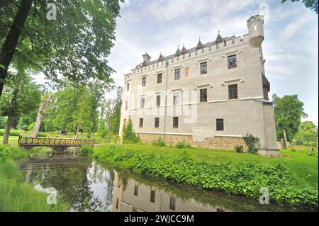 Schloss Karpniki (deutsch: Vischbach, Fischbach) - eine historische Burg im Dorf Karpniki, Polen Stockfoto