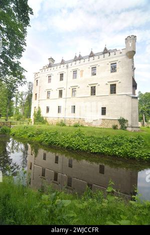 Schloss Karpniki (deutsch: Vischbach, Fischbach) - eine historische Burg im Dorf Karpniki, Polen Stockfoto