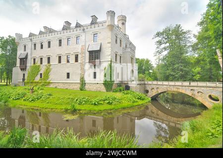 Schloss Karpniki (deutsch: Vischbach, Fischbach) - eine historische Burg im Dorf Karpniki, Polen Stockfoto