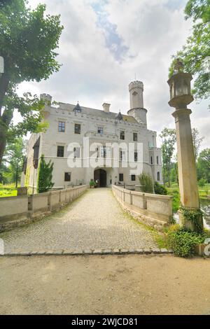 Schloss Karpniki (deutsch: Vischbach, Fischbach) - eine historische Burg im Dorf Karpniki, Polen Stockfoto