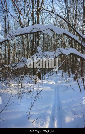 Verschneite Skipiste in dichtem Winterwald in der Februarkälte. Zentralrussland Stockfoto