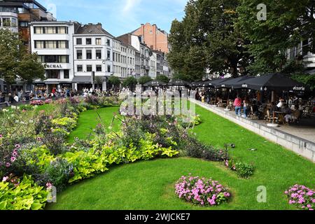 Blühende Pflanzen am Place de la Cathédrale Stockfoto