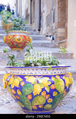 Pflanzen Sie Töpfe in einer Reihe auf einer Treppe in Cefalù, Sizilien, Italien Stockfoto