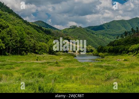 Landschaft des üppig grünen Flusstals unter wunderschönem blauen Himmel gefüllt mit großen geschwollenen weißen Wolken in Südkorea Stockfoto