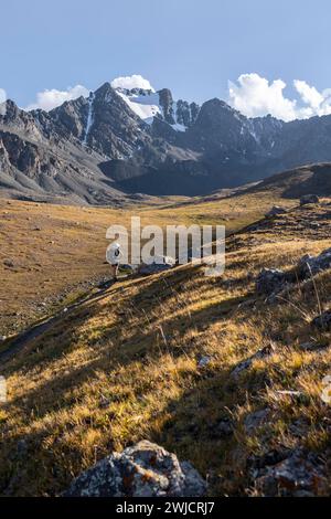 Wanderer in einem Bergtal im Tien Shan-Gebirge in der Nähe von Altyn Arashan, Kirgisistan Stockfoto