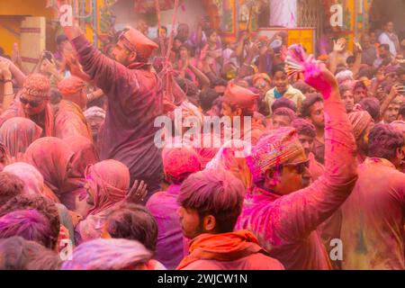 Holi Festival of Colors im Shri Krishna Tempel in Mathura, Indien Stockfoto