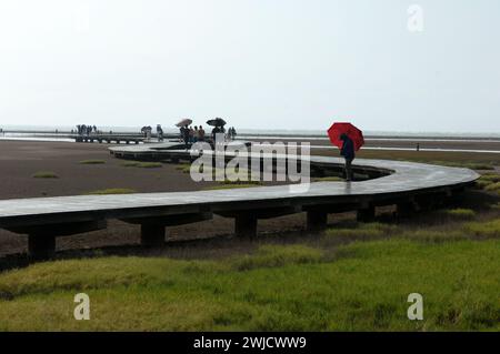 Gaomei Wetland Preservation Area, Gaomei Wetlands, Taichung, Tawain. Stockfoto