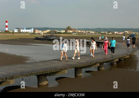 Gaomei Wetland Preservation Area, Gaomei Wetlands, Taichung, Tawain. Stockfoto