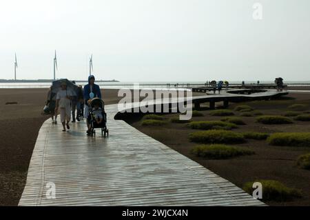 Gaomei Wetland Preservation Area, Gaomei Wetlands, Taichung, Tawain. Stockfoto