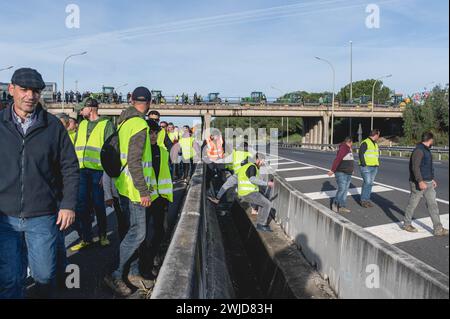 Während der Demonstration haben andalusische Bauern alle Autobahnen blockiert, die nach Sevilla führen. Diese Proteste werden zum Teil von Gewerkschaften und landwirtschaftlichen Organisationen der extremen Rechten Spaniens gefördert, die die Probleme der Landwirte zum Ziel haben und dann Druck auf die Regierung ausüben. Diese Proteste finden seit dem 6. Februar in Spanien statt, als Reaktion auf die Proteste in Frankreich, wo sich Landwirte über unlauteren Wettbewerb mit Produkten aus nicht-EU-Ländern beschweren Stockfoto