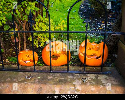 Mein Garten im Herbst in Lancahire Stockfoto
