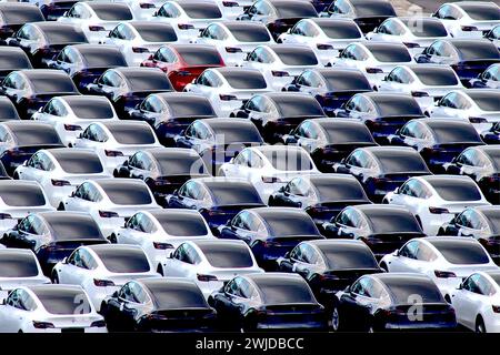 Eine Lieferung neuer Tesla-Elektroautos, die nach Southampton Docks in Hampshire, Großbritannien geliefert wurden. Die Fahrzeuge werden dann auf Autotransportern an Tesla Stores verteilt. Stockfoto