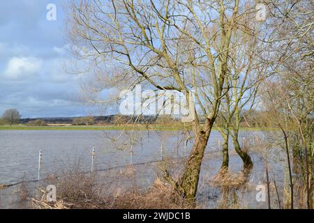 Überflutete Wasserwiese im Pulborough Brooks RSPB Vogelschutzgebiet in West Sussex Mitte Februar, Ende des Winters an einem sonnigen Tag Stockfoto