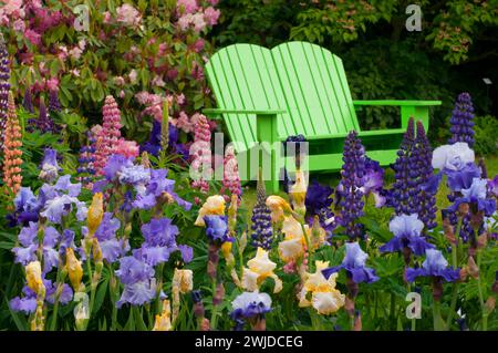 Gartenbank, Schreiners Iris Gardens, Keizer, Oregon Stockfoto