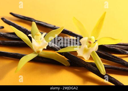 Vanilleschoten und schöne Blumen auf gelbem Hintergrund, Nahaufnahme Stockfoto