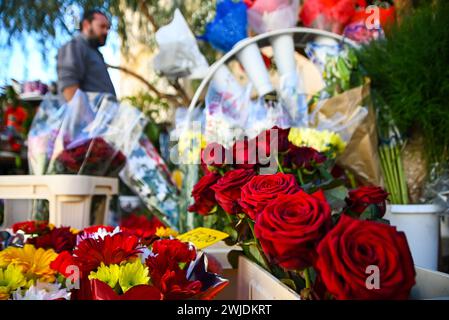 Peking, China. Februar 2024. Dieses Foto vom 14. Februar 2024 zeigt einen Blumenladen mit roten Rosen am Valentinstag in Gharghur, Malta. Quelle: Jonathan Borg/Xinhua/Alamy Live News Stockfoto