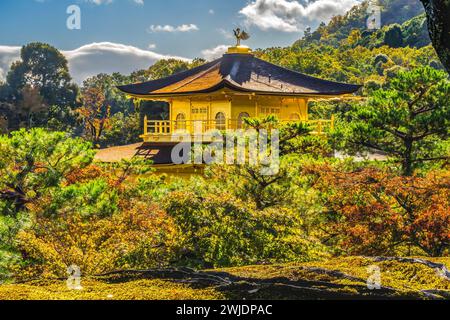 Der Kolovolle Fall Verlässt Kinkaku-Ji Rokuon-Ji Golden Pavilion Zen Buddhist Temple Park Kyoto Japan. Das Datum stammt aus dem Jahr 1397 zum Weltkulturerbe. Stockfoto