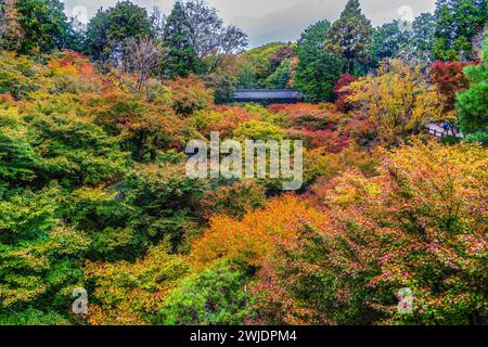 Der rote Fall hinterlässt den grünen Tofuku-JI Zen Buddhistischen Tempel Kyoto Japan. Datum bis 1236. Berühmte Aussicht von Tsutenkyo Bri Stockfoto