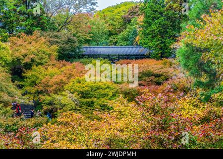 Der rote Fall hinterlässt den grünen Tofuku-JI Zen Buddhistischen Tempel Kyoto Japan. Datum bis 1236. Berühmte Aussicht von Tsutenkyo Bri Stockfoto