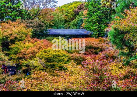 Der rote Fall hinterlässt den grünen Tofuku-JI Zen Buddhistischen Tempel Kyoto Japan. Datum bis 1236. Berühmte Aussicht von Tsutenkyo Bri Stockfoto