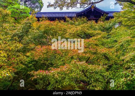 Der rote Fall hinterlässt den grünen Tofuku-JI Zen Buddhistischen Tempel Kyoto Japan. Datum bis 1236. Berühmte Aussicht von Tsutenkyo Bri Stockfoto