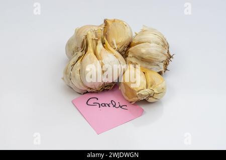 NARC G1 Knoblauchzwiebeln auf weißem isoliertem Hintergrund Stockfoto