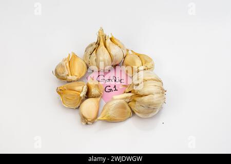 Knoblauch Zwiebeln auf weißem Hintergrund Stockfoto