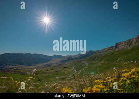 Nachmittagsblick von Sedlo oder Sattel auf Durmitor, Bergpass zwischen Zabljak und Savnik. Malerische Aussicht mit Blumen und langem grünen Tal Stockfoto