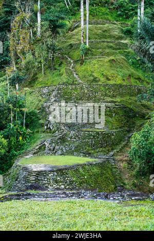 Versteckte antike Ruinen der Tayrona Zivilisation Ciudad Perdida im Herzen des kolumbianischen Dschungels verlorene Stadt Teyuna. Santa Marta, Sierra Nevada Mount Stockfoto