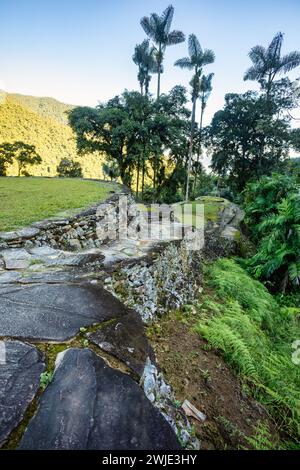 Versteckte antike Ruinen der Tayrona Zivilisation Ciudad Perdida im Herzen des kolumbianischen Dschungels verlorene Stadt Teyuna. Santa Marta, Sierra Nevada Mount Stockfoto