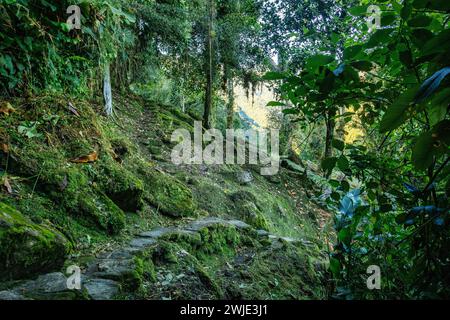 Versteckte antike Ruinen der Tayrona Zivilisation Ciudad Perdida im Herzen des kolumbianischen Dschungels verlorene Stadt Teyuna. Santa Marta, Sierra Nevada Mount Stockfoto