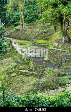 Versteckte antike Ruinen der Tayrona Zivilisation Ciudad Perdida im Herzen des kolumbianischen Dschungels verlorene Stadt Teyuna. Santa Marta, Sierra Nevada Mount Stockfoto