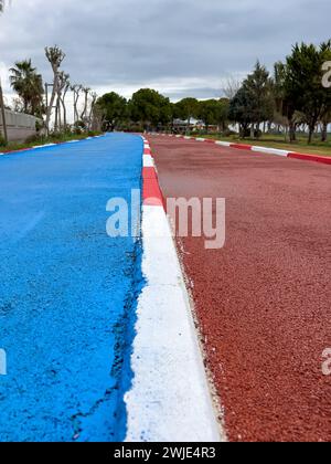 Blauer Radweg und roter Laufweg führen Seite an Seite durch einen öffentlichen Park Stockfoto